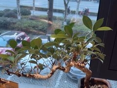 -竹里馆 ·茶食(奥体店)