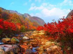 -丹东天桥沟景区