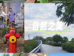 -云溪植物园