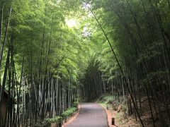 -苏州环秀晓筑养生度假村