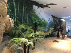 -金钉子远古世界景区