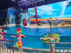 -三亚海昌梦幻海洋不夜城