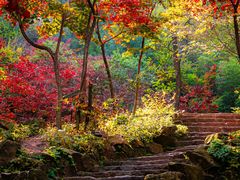 -九如山休闲旅游度假区