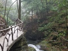 -藏龙百瀑风景区