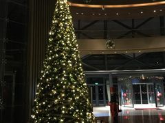 -上海滴水湖皇冠假日酒店