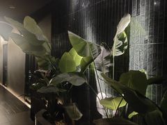 -涟LIAN·泰式按摩·MASSAGE·SPA(华强北店)