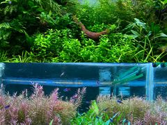 -郑州海洋馆