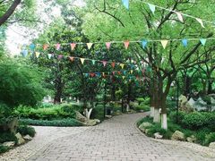 -瀛洲公园