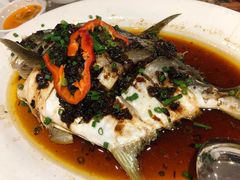 鲳鱼-宜宾海鲜酒家·三十年老字号