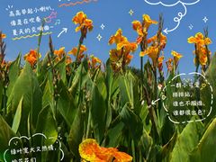 -厦门园林博览苑