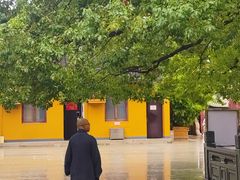 -龙华素斋(龙华路店)