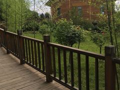 -曲江薰衣草庄园