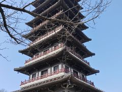 -宜兴龙背山森林公园