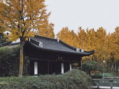 景点-月湖公园