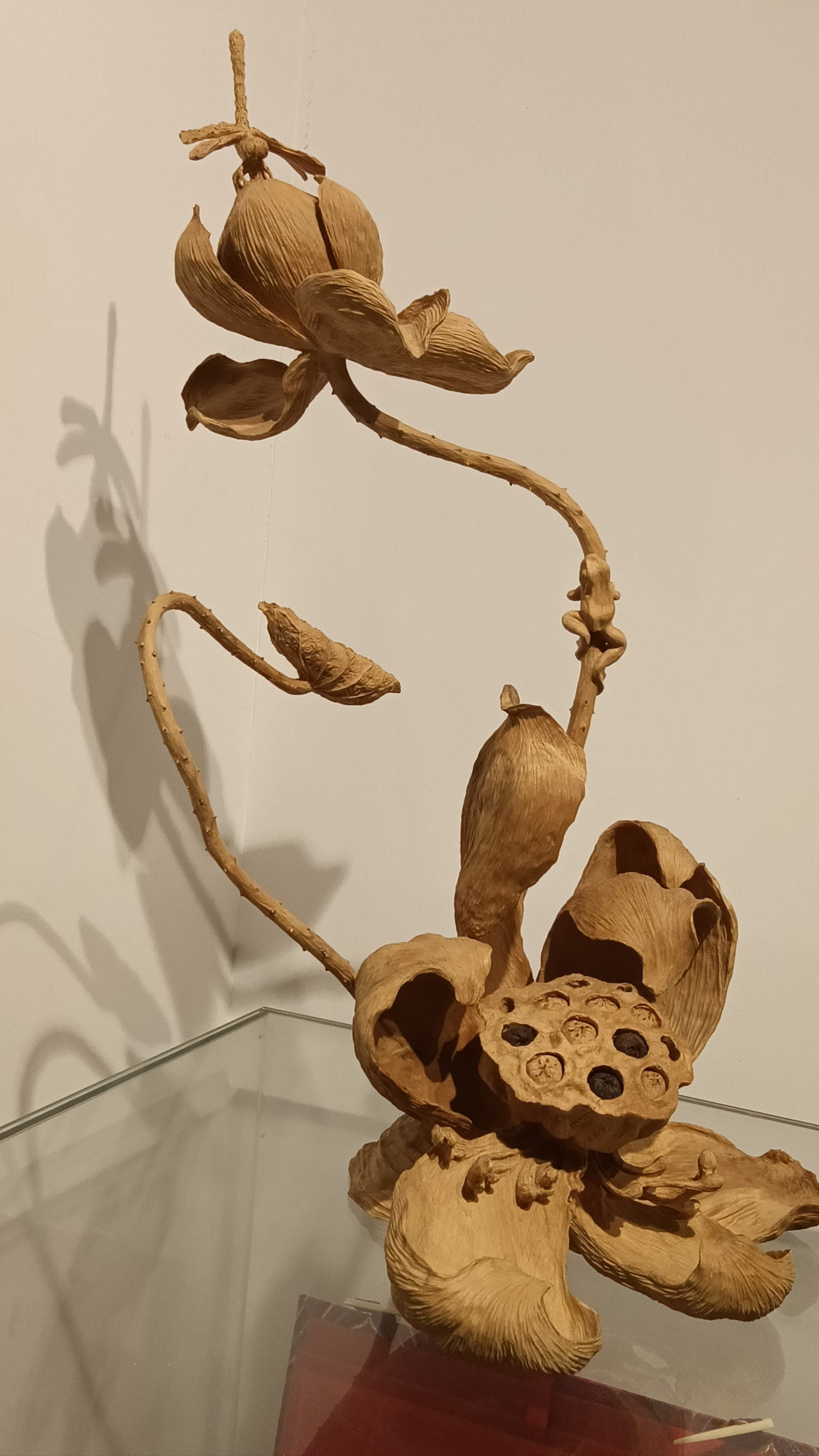 产生与阐释｜著作推介4期