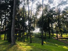 -保利石象湖景区