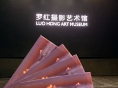 -罗红摄影艺术馆