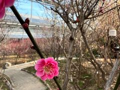 -北京鹫峰国家森林公园