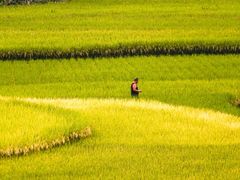 -万峰林风景区
