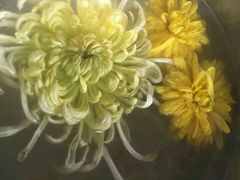 -华强阁菊花宴自助火锅店