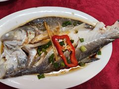 -蛇口康乐快餐鱼仔档(翠苑小区店)