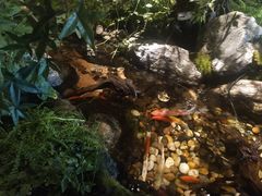 景观位-锦府盐帮·李宅(领展购物广场中关村店)