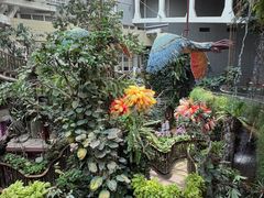 -正佳雨林生态植物园