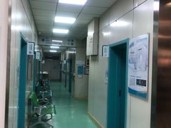 -北京观赏动物医院·24小时大型综合·猫专科·异宠专科