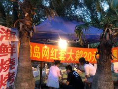 -大鹅岛绿色生态美食园