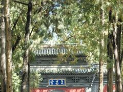 -晋祠公园