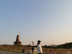 -大塘金香草谷