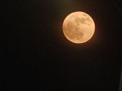 -艾溪湖湿地公园