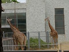 -石家庄市动物园