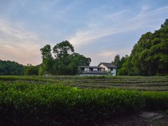 -旅马餐厅(茅家埠店)