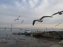 -星海广场