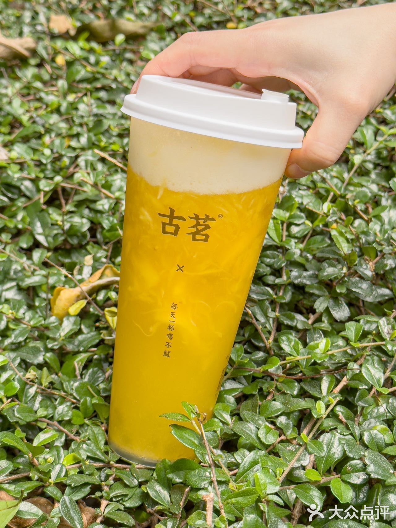 满杯都是凤梨真的好喝到跺jiojio‼️
