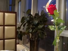 -大胖骨汤火锅(裕华店)