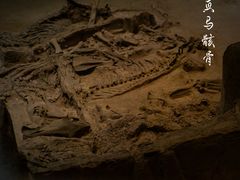 -北京大葆台遗址博物馆