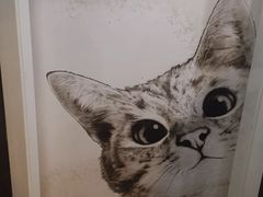 -猫尾侦探俱乐部·剧本杀·狼人杀