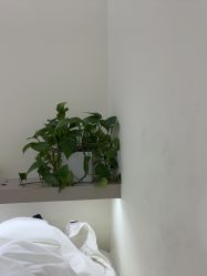 -苗方清颜专业祛痘·皮肤管理