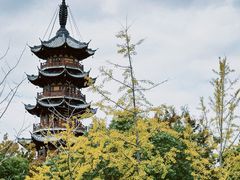 -龙华素斋(龙华路店)