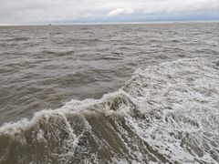 -上海浦东嘉里大酒店