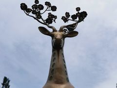 -石岛赤山风景区