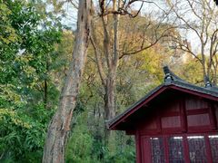-桂林独秀峰王城景区
