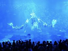 -长沙湘江欢乐雪域