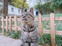 -西园寺