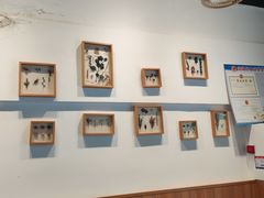 -艾米私房馄饨