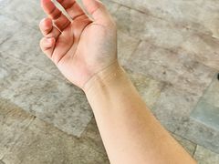 -灵玲国际马戏城
