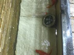 -金三角海鲜美食城(津北公路店)