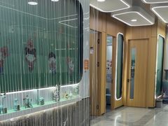 -pd派德宠物中心医院24H急重症·眼科中心·血液透析中心(嵩山北路店)